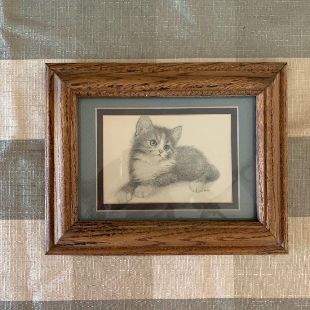 Blue Eyed Kitten, Virginia Miller Print
